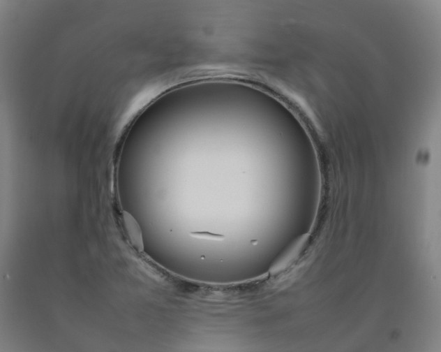 X0000092241365200709281116