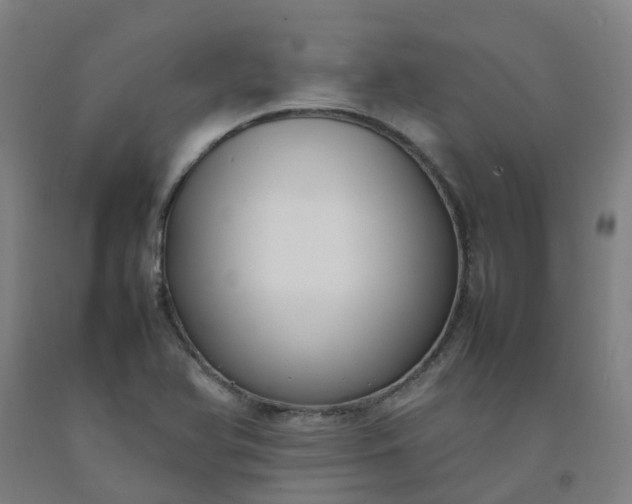 X0000092241366200709281116