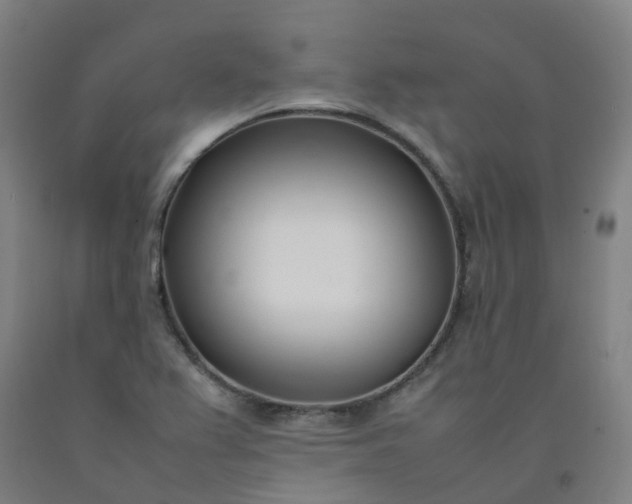 X0000092241367200709281116
