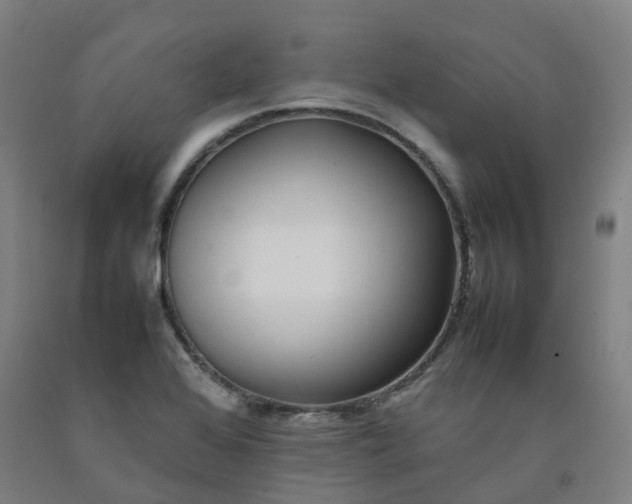 X0000092241368200709281116