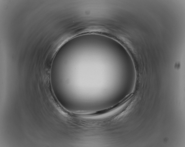 X0000092241369200709281116