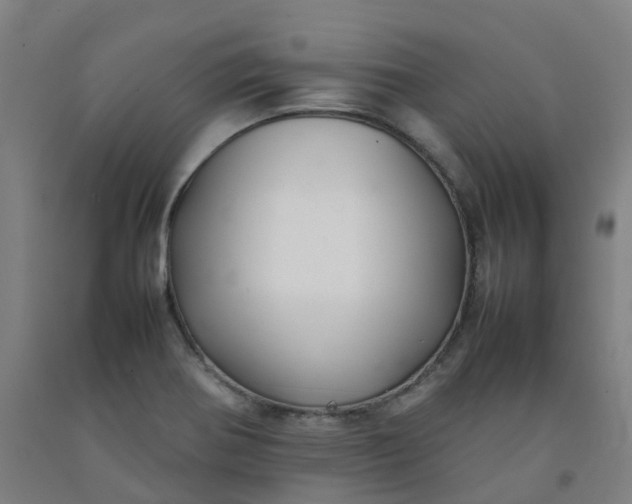X0000092241370200709281116