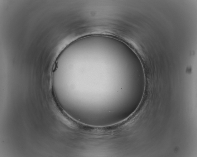 X0000092241371200709281116