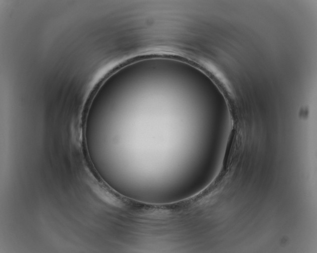 X0000092241372200709281116