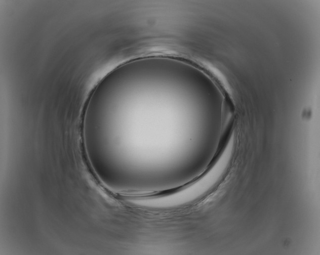 X0000092241373200709281116