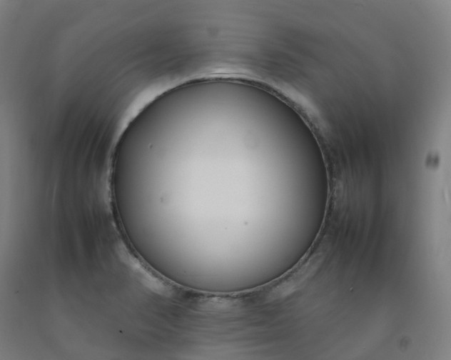 X0000092241374200709281115