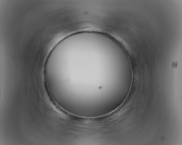 X0000092241375200709281115