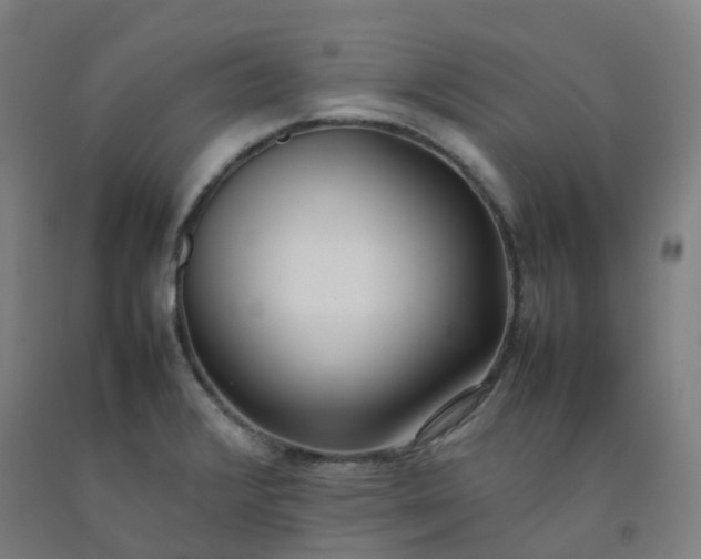 X0000092241376200709281115