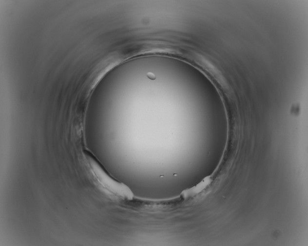 X0000092241377200709281115