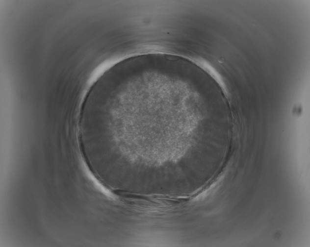 X0000092241381200709281115