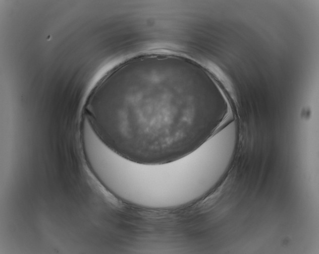 X0000092241384200709281115