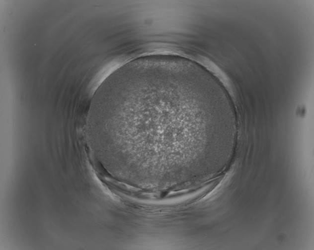 X0000092241385200709281115