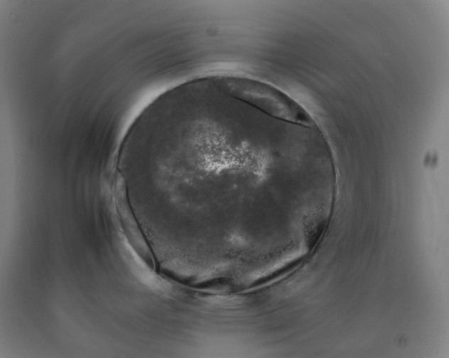 X0000092241392200709281115
