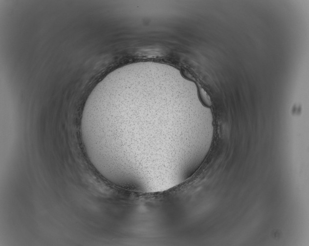 X0000092241393200709281115