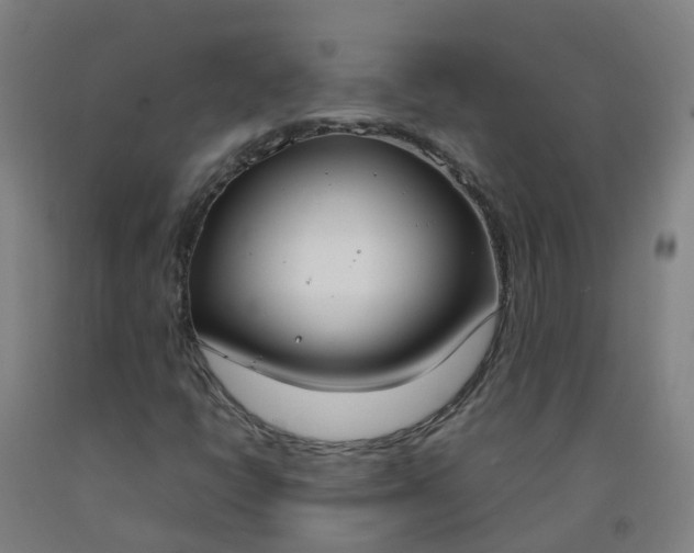 X0000092241398200709281115