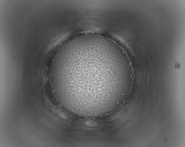 X0000092241399200709281115