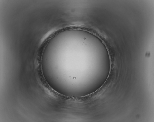X0000092241400200709281115