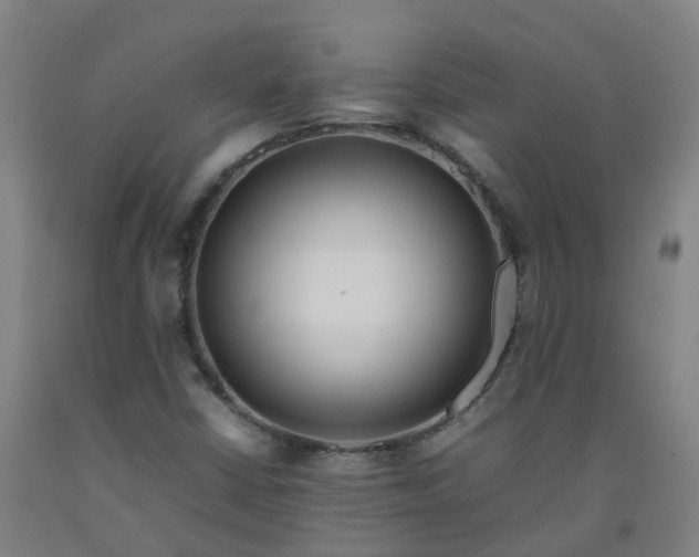 X0000092241402200709281115