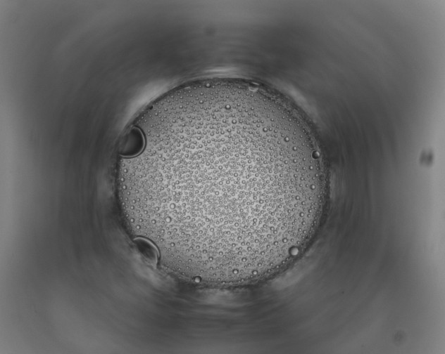 X0000092241405200709281115