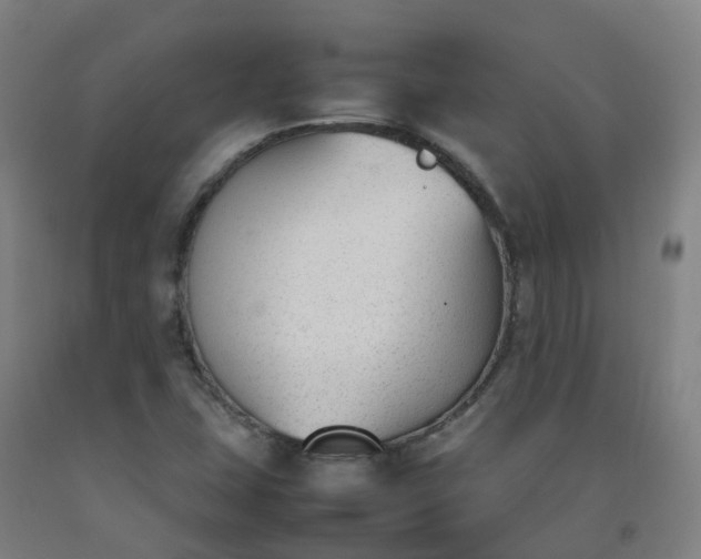 X0000092241407200709281115