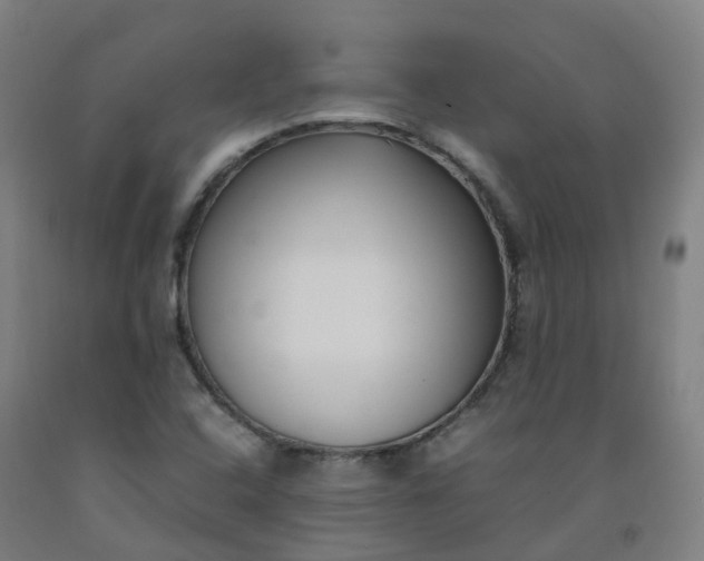 X0000092241408200709281115