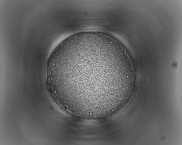 X0000092241413200709281115