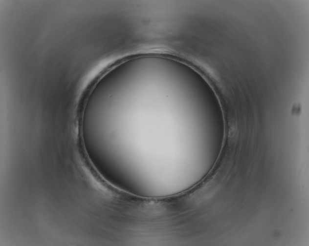 X0000092241414200709281115