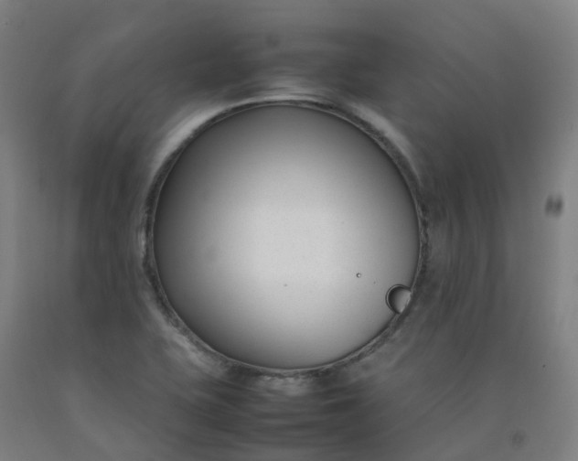 X0000092241415200709281115
