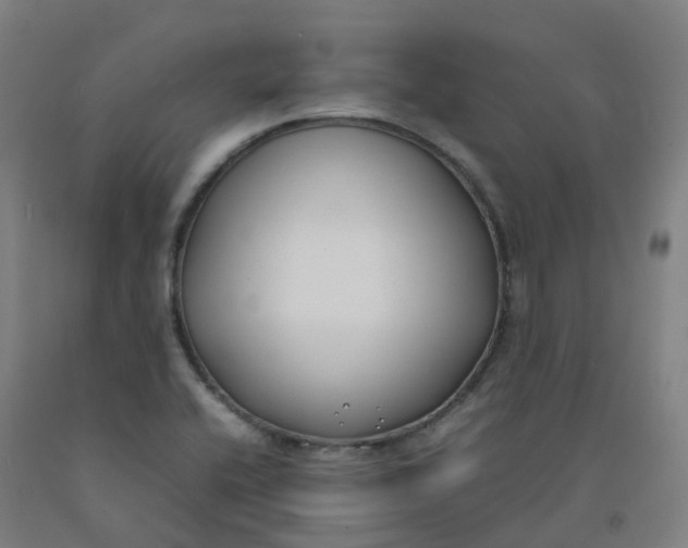 X0000092241416200709281115