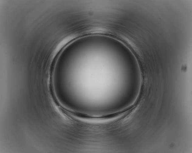 X0000092241418200709281115