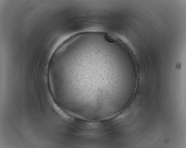X0000092241421200709281115