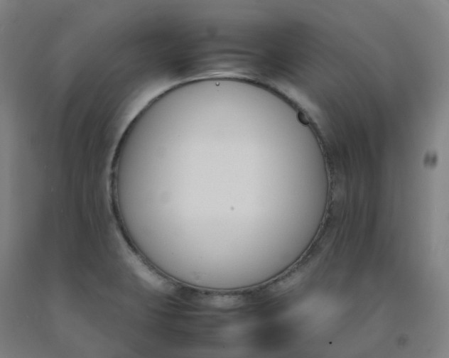 X0000092241423200709281115
