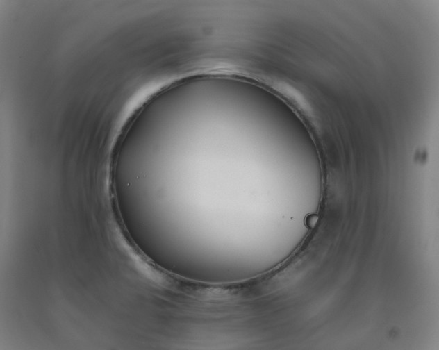 X0000092241424200709281115