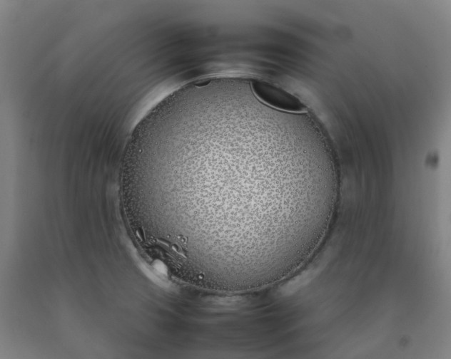 X0000092241425200709281115