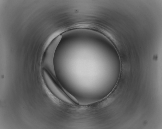 X0000092241426200709281115