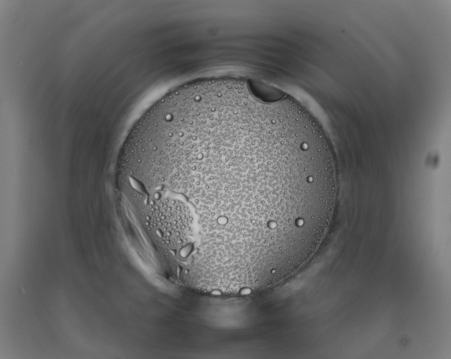 X0000092241429200709281115