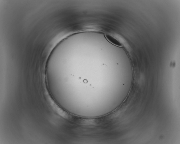 X0000092241431200709281115