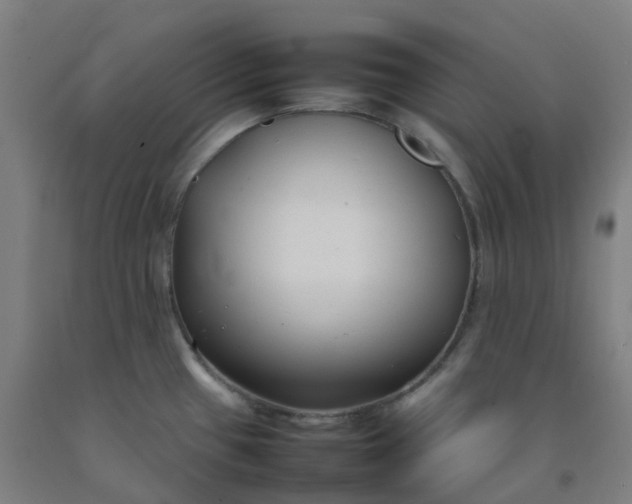 X0000092241433200709281115