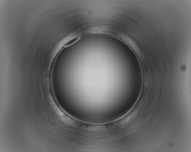 X0000092241434200709281115