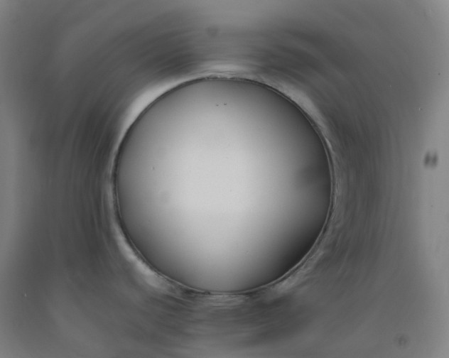 X0000092241440200709281115