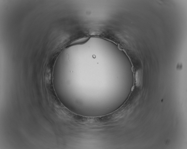 X0000092241443200709281115