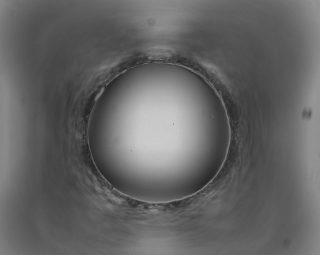 X0000092241445200709281115