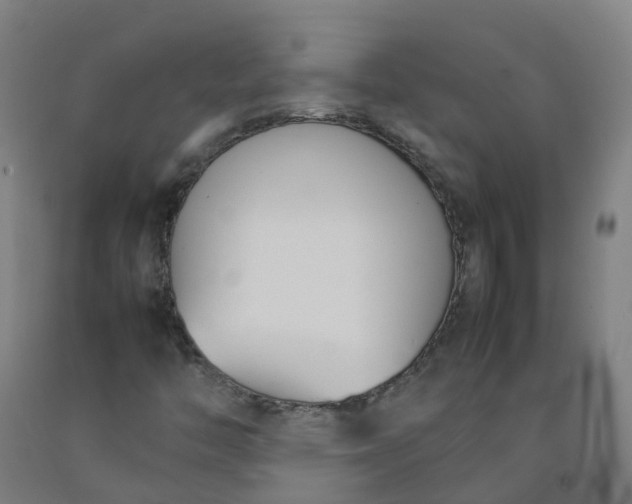 X0000092241446200709281115