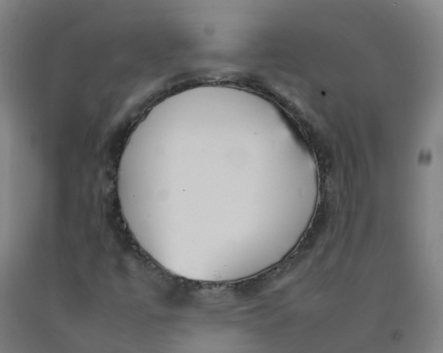 X0000092241447200709281115