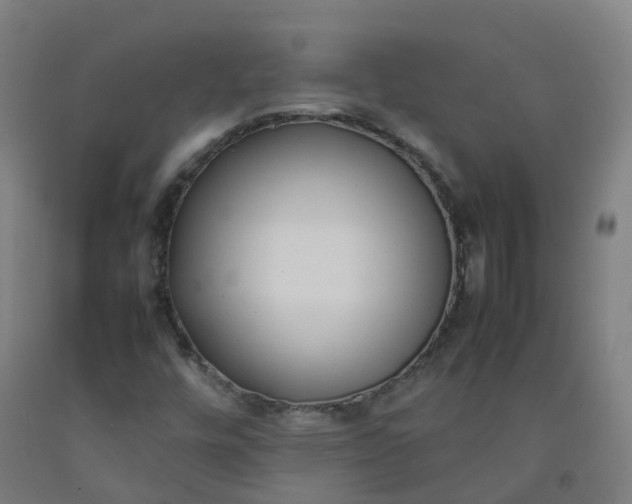 X0000092241448200709281115