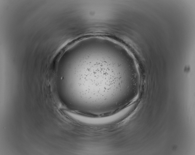 X0000092241449200709281115