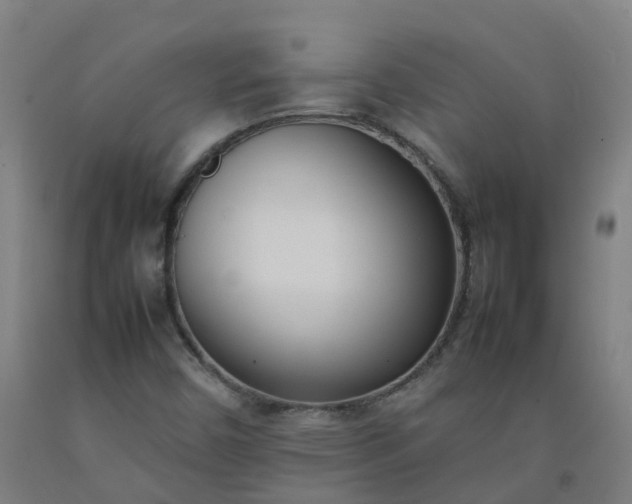 X0000092241450200709281115