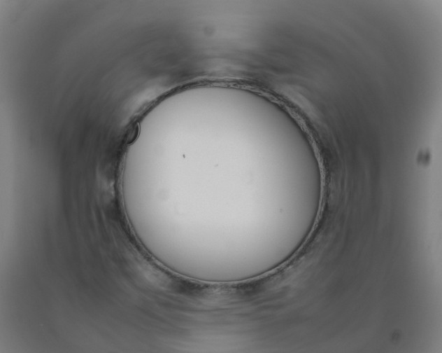X0000092241451200709281115