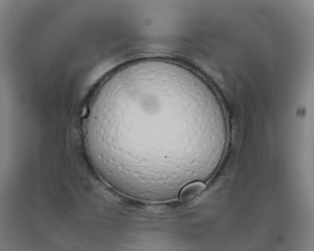 X0000092241453200709281115