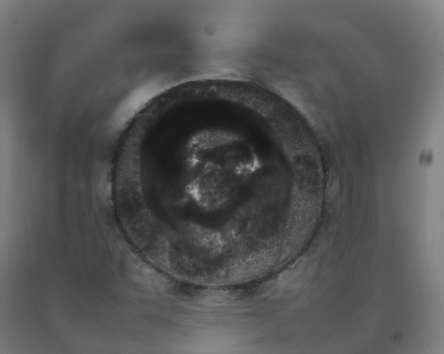 X0000092241455200709281114